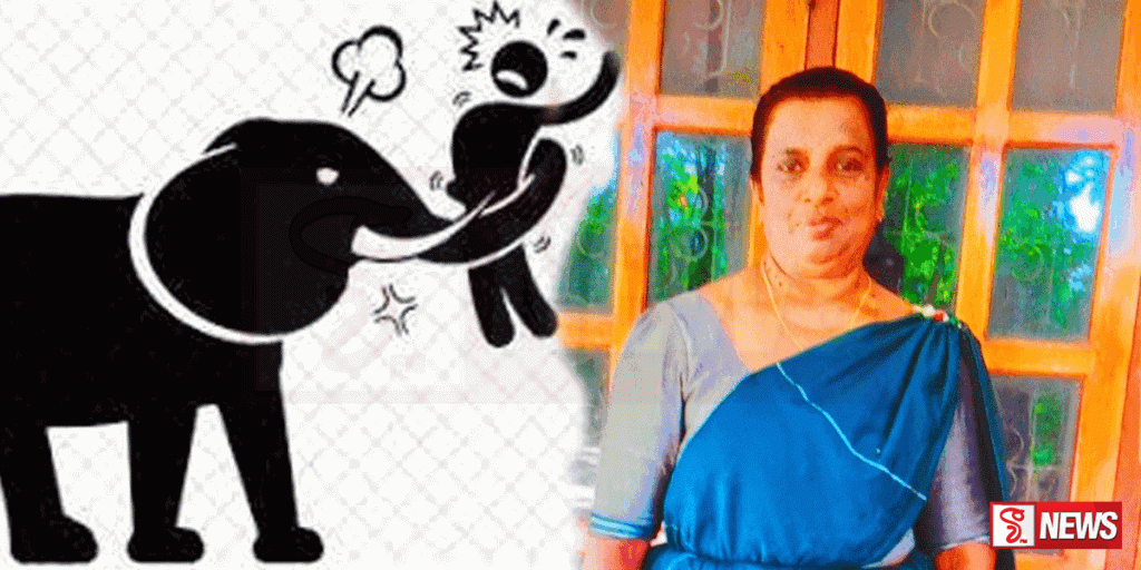 අලියකුගේ පහරදීමෙන් කාන්තාවක් මරුට