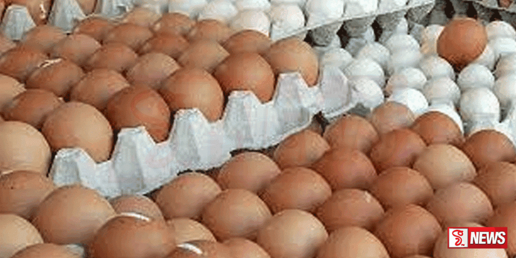 තවත් මාස තුනකට බිත්තර ආනයනයට අනුමැතිය