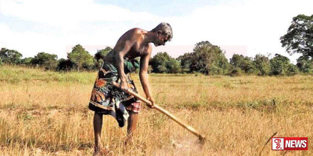 යල කන්නයේ කුඹුරුවලට සිදු වූ වගා හානියට අදාල වන්දි මුදල් ඉල්ලයි