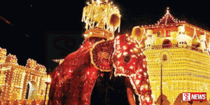 ඇසළ පෙරහැරේ විදුලි ආලෝකය ගැන තීරණයක්