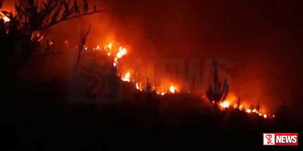 හවායි මවුයි ප්රදේශයේ ලැව්ගින්නක්