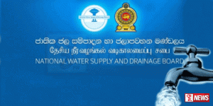 ජලය අරපිරිමැස්මෙන් භාවිත කරන්න