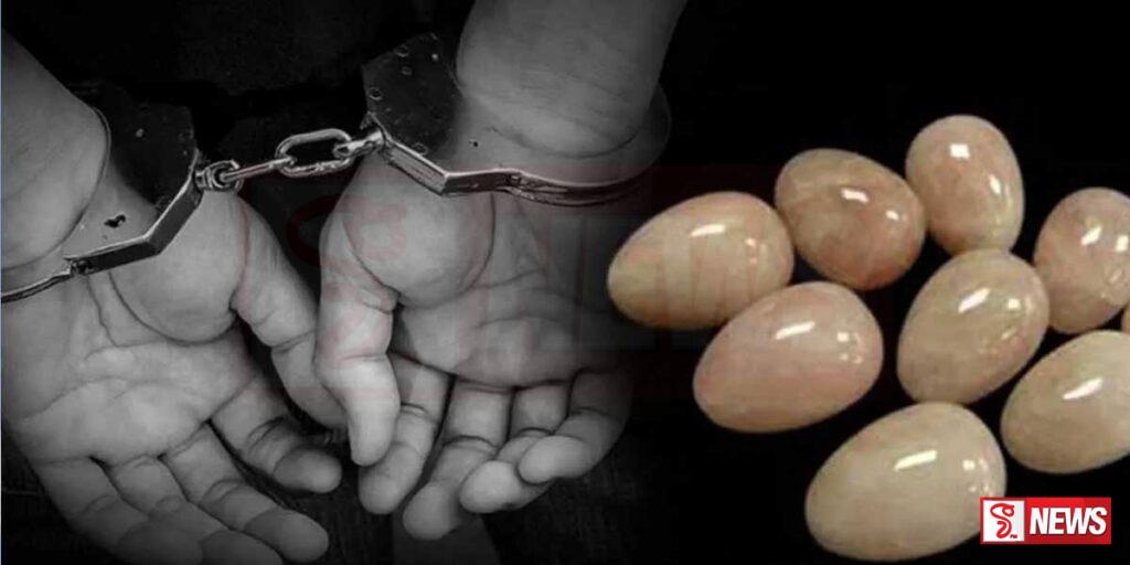 ගජමුතු දෙකක් සමග පුද්ගලයන් දෙදෙනෙකු අත්අඩංගුවට