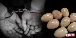 ගජමුතු දෙකක් සමග පුද්ගලයන් දෙදෙනෙකු අත්අඩංගුවට