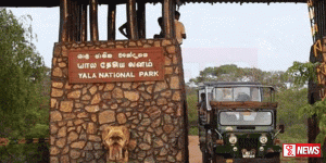 යාල ජාතික වනෝද්යානයට නව ක්රමවේදයක්