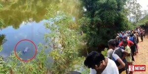 අවුරුද්දක් වයසැති සිගිත්තිය සමග මවක් වැවකට පනී – Video