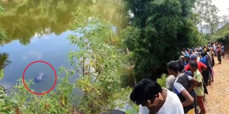 අවුරුද්දක් වයසැති සිගිත්තිය සමග මවක් වැවකට පනී – Video