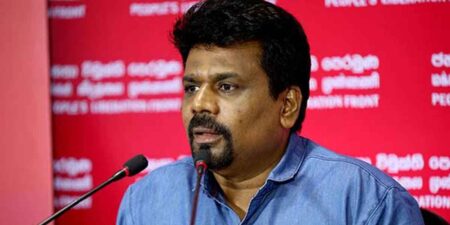 බිත්තර ගැටලුව වසරකින් විසඳිය හැකි