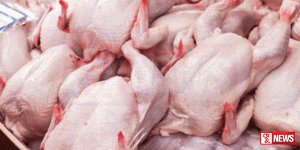 කුකුළු මස් මිල අඩුවෙයි