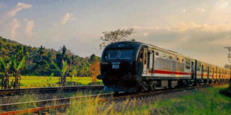 දුම්රිය ධාවනය යථා තත්වයට්