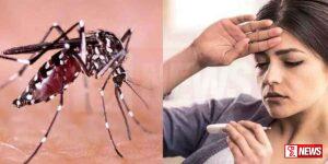 මෙම වසරේ ඩෙංගු රෝගීන් වාර්තාව ඉහලට