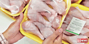 කුකුල් මස් මිල පහළට