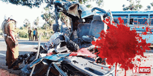 රිය අනතුරු හේතුවෙන් දිනකට 8 ක් පමණ මියයයි