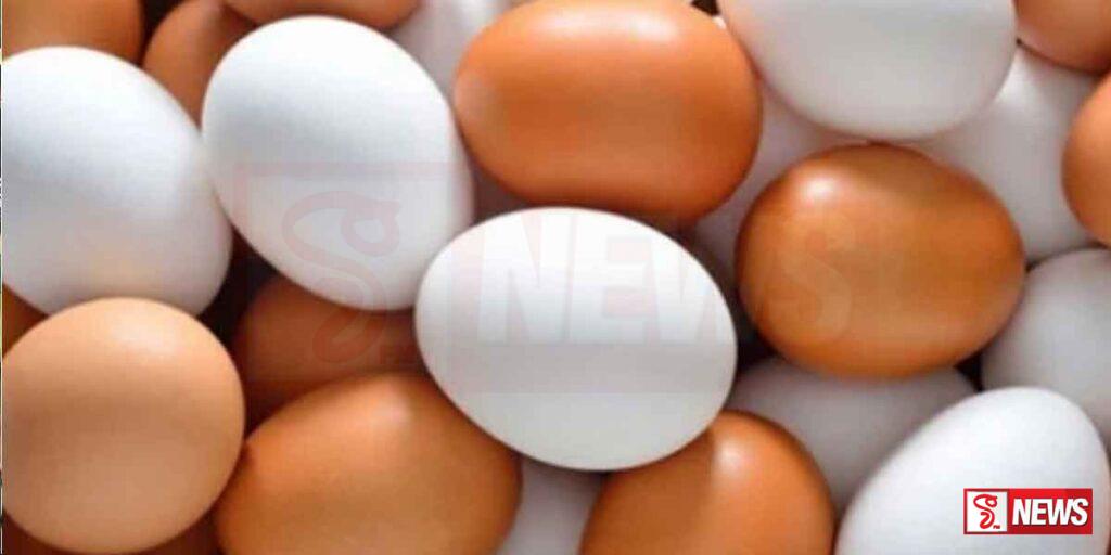 භාවිතයට නුසුදුසු බිත්තර කන්ටේනර් 2 ක් කොළඹ වරායට