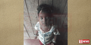 නල්ලූර් කෝවිලට පැමිණි දැරියක් අතුරුදහන් දැක්කොත් පොලිසියට කියන්න