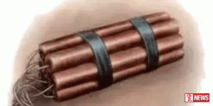 වික්ටෝරියා රක්ෂිතයේ තිබී පුපුරණ ද්රව්ය තොගයක් සොයා ගැනේ