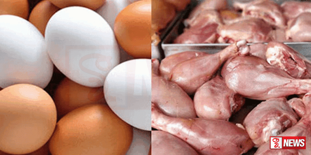 බිත්තර සහ කුකුළු මස් අපනයනය තවදුරටත් පුළුල් කිරීමට පියවර