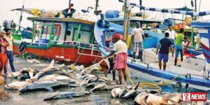 මෙරට ධීවරයන් අඩපණ කිරීමට රජයේ උත්සහයක්