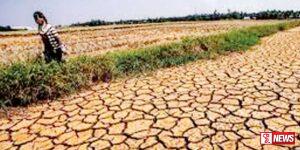 වියළි කාලගුණයෙන් වැඩිම හානිය කුරුණෑගල දිස්ත්රික්කයට