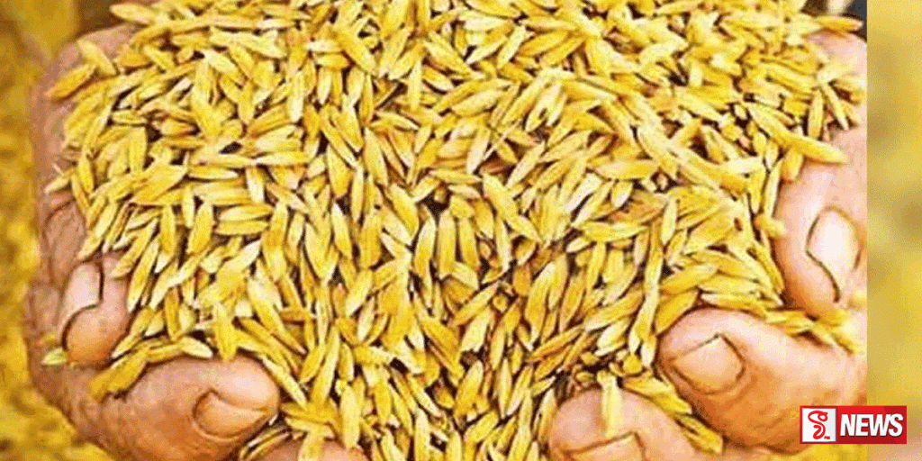 රජය වී මිලදි ගැනීම ආරම්භ කළද වී මිල ඉහළට