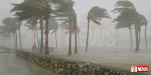 හයිකුයි චන්ඩ මාරුතයෙන් 40 ස් දෙනෙකුට තුවාල