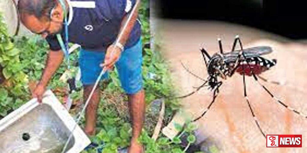 ඩෙංගු රෝගීන් වැඩි පිරිසක් බස්නාහිර පළාතෙන්