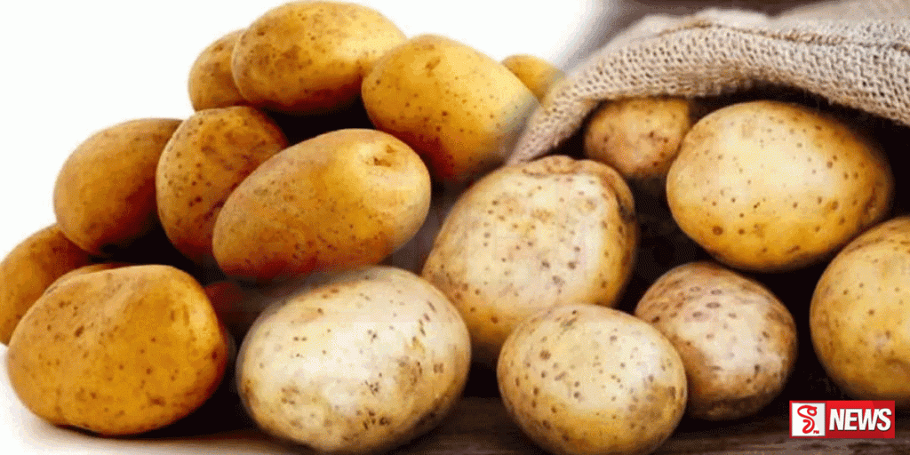 ආනයනික අර්තාපල් බද්ද මාස 04කට දීර්ඝ කෙරේ