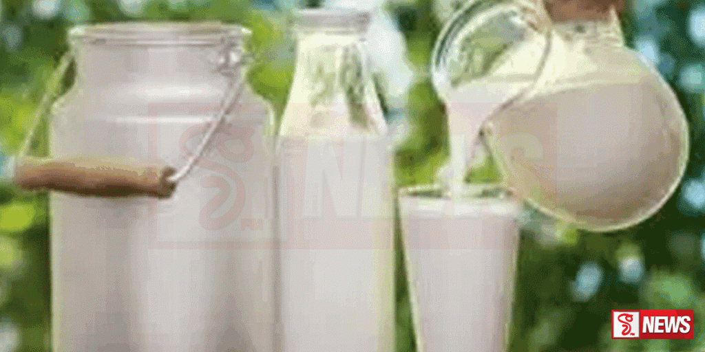 කොළඹ නිවාස වලට එළකිරි සැපයීමේ වැඩසටහනක්