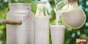 කොළඹ නිවාස වලට එළකිරි සැපයීමේ වැඩසටහනක්