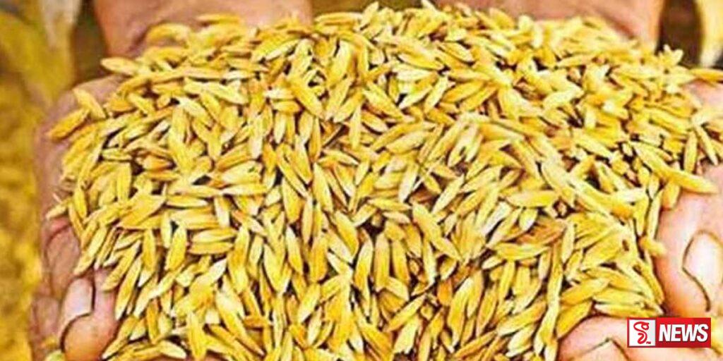 වී මිල දී ගැනීම තාවකාලිකව අත්හිටුවයි