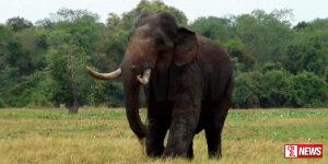 අග්බෝට යලි වෙඩි ප්රහාරයක්