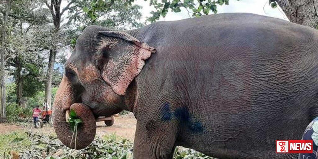 සීතට අසාධ්යයි # බලධාරීන්ගේ අවධානයක් නෑ # හිමිකරුගෙන් රජයට චෝදනා