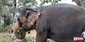 සීතට අසාධ්යයි # බලධාරීන්ගේ අවධානයක් නෑ # හිමිකරුගෙන් රජයට චෝදනා