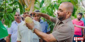 යාපනයේ කෙසෙල් හා අඹ ව්යාපෘතිය ඉතාමත් සාර්ථකයි