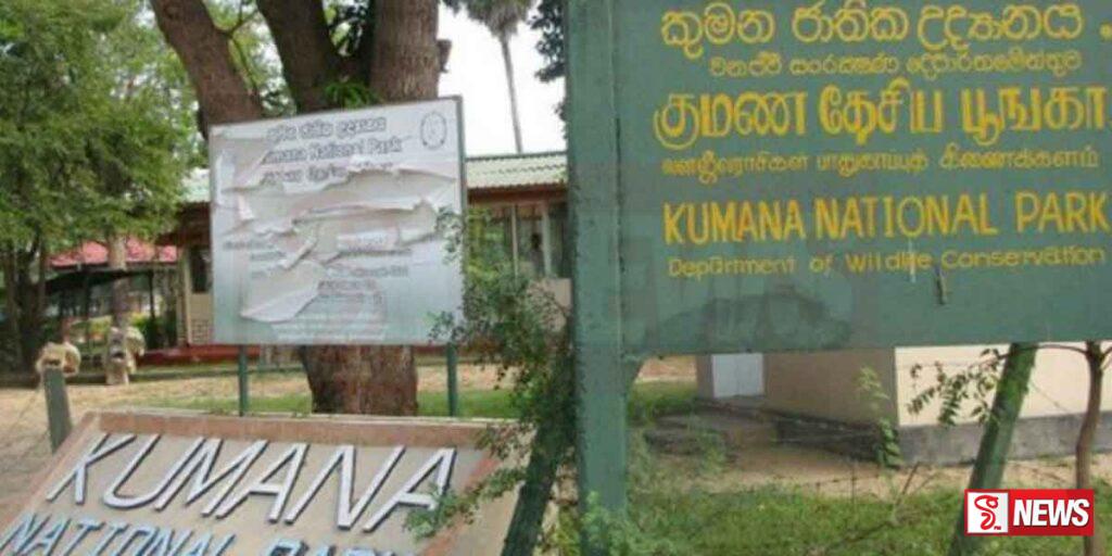 කුමන ජාතික වනෝද්යානය වසර 4කට පසු ඉහළ ආදායමක්