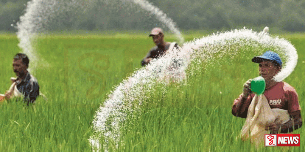 පොහොර සඳහා පාලන මිලක් නියම කිරීමට රජයේ අවධානය