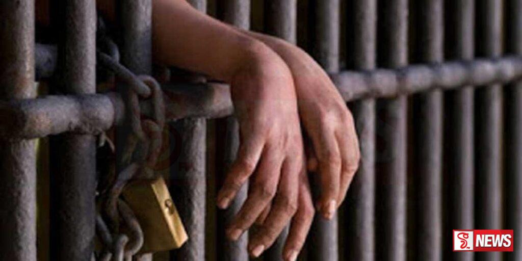 හොර හරක් ජාවාරම්කරු කොටු