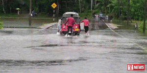 ධාරානිපාත වර්ෂාව නිසා දදුරු ඔයෙන් රතු එළි