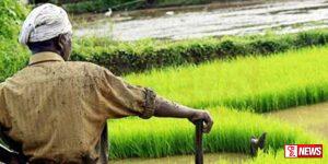 මෙවර මහ කන්නය පැරෂුට් ක්රමයට වගා කෙරේ