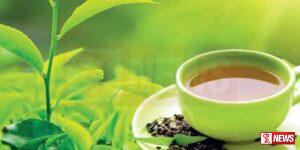 තේ ව්යාපාරිකයින් පිරිසක් ලබන මාසයේ දිවයිනට