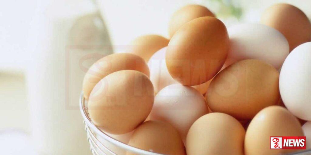 දේශීය වෙළදපොලේ බිත්තර අතිරික්තයක්