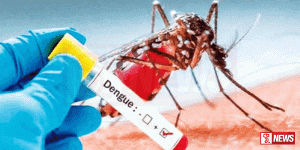 ඩෙංගු රෝගීන් ඉහළට