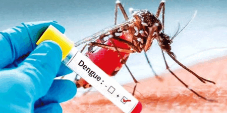 ඩෙංගු හේතුවෙන් පුද්ගලයින් 16 දෙනෙකු ජීවිතක්ෂයට