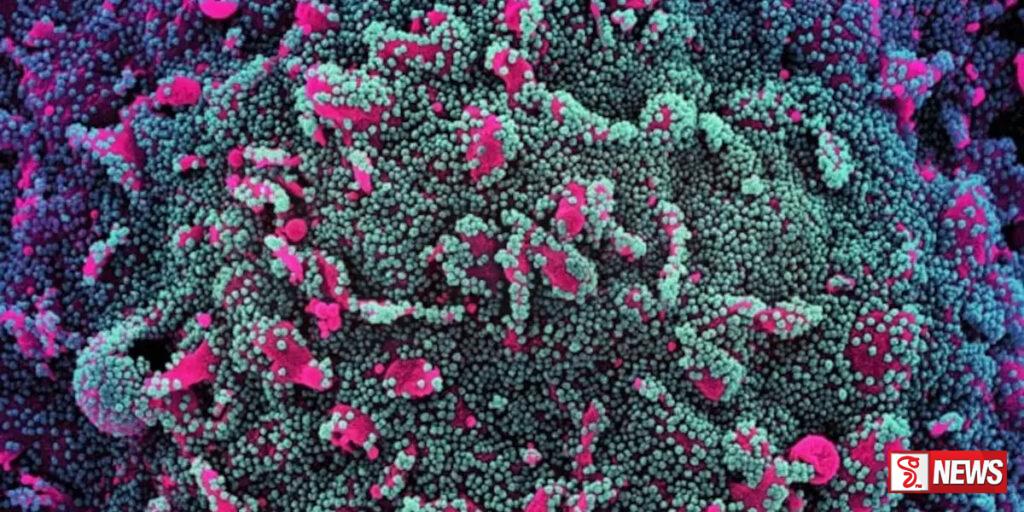 ඉන්දියාවේ කොවිඩ් වෛරස ප්රභේදය පැතිර යාමේ අවදානමක්