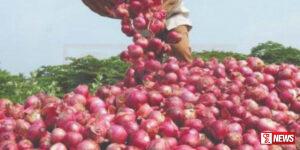 ලොකු ලූනු නගියි