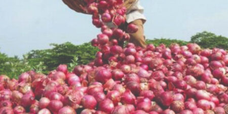 ලොකු ලූනු නගියි