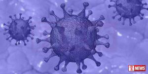 ඉන්දියාවේ නව කොරෝනා වෛරසයක්