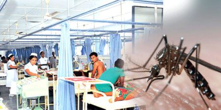 “ගිය වසර වලට වඩා ඩෙංගු රෝගීන් අඩුවෙලා.”-ඇමතිනි සීතා