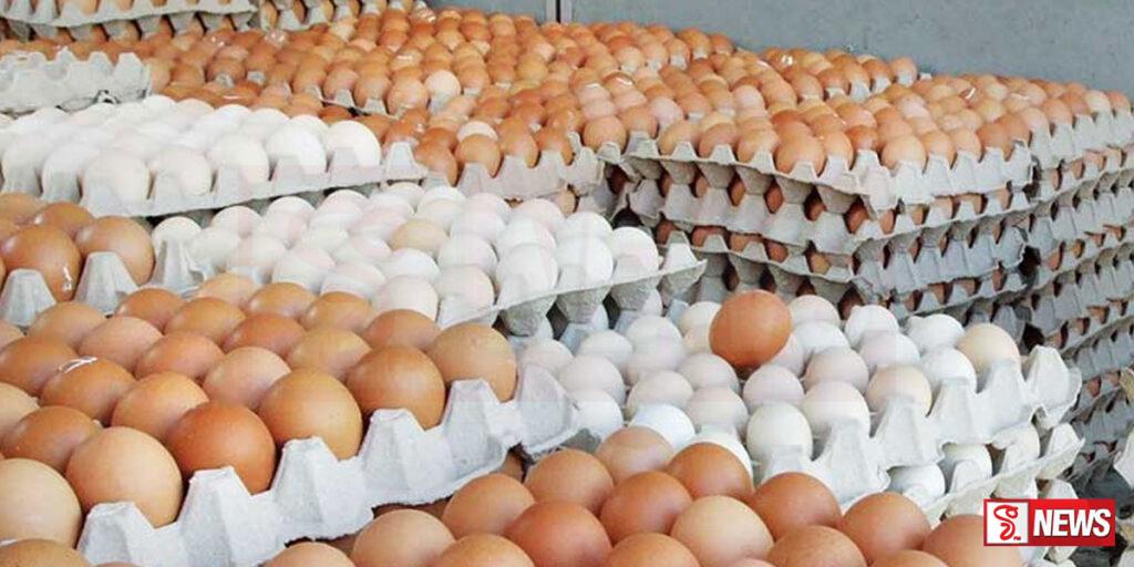 බිත්තර ආනයනයට රජයේ අවධානය