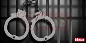 හරක් කටාට පනින්න උදව් කල සැරයන් කොටුවෙයි